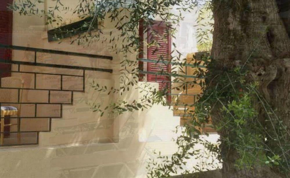 Wilde Rose Hotel Dassia  Ngoại thất bức ảnh